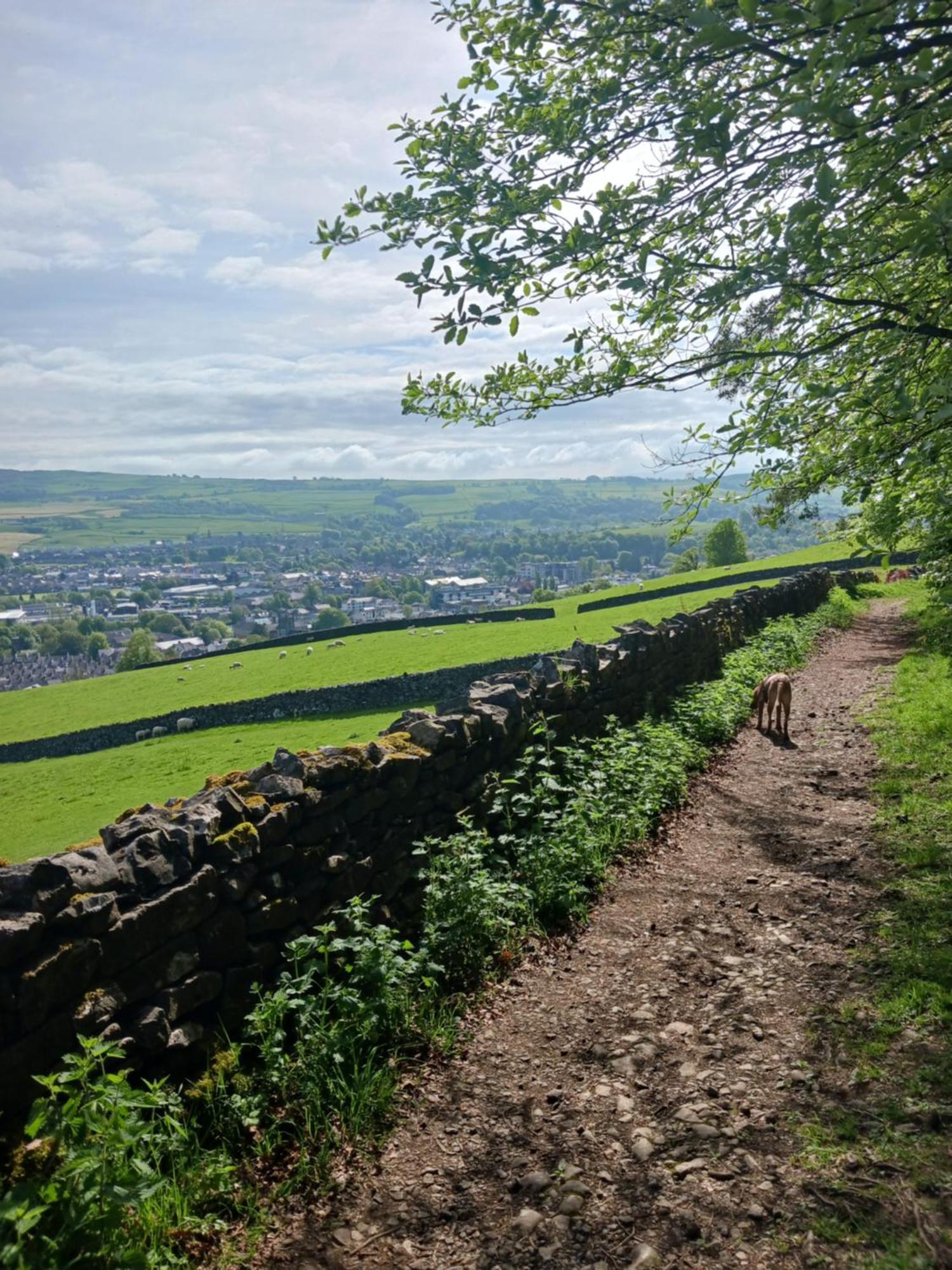 Arthurs Cottage -Charming Courtyard Cottage In The Heart Of Kendal, The Lake District Buitenkant foto